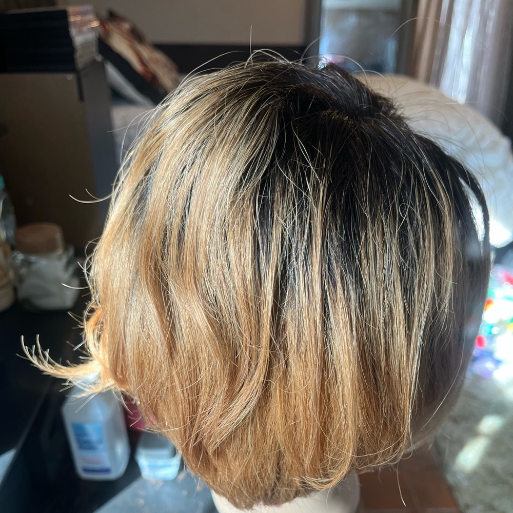 100% human hair wig